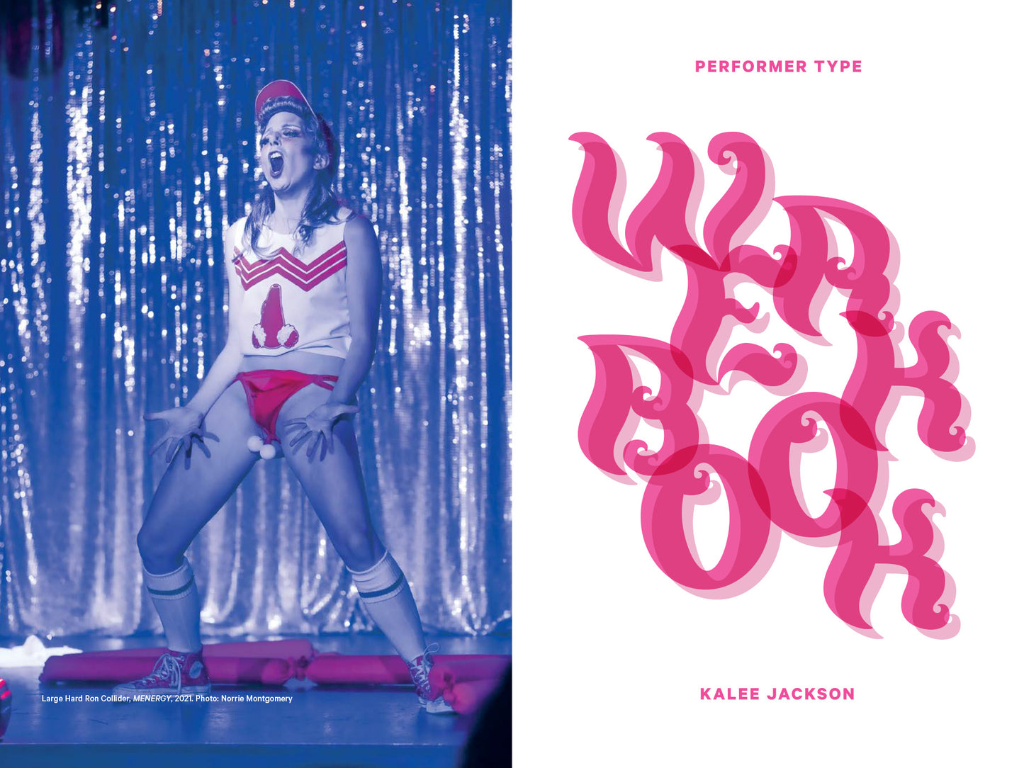 Performer Type: Werkbook – print